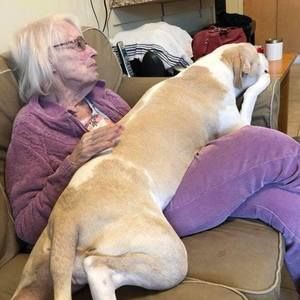 Meet your Posher, Patty